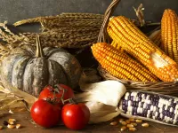 Пазл Кукуруза и тыква