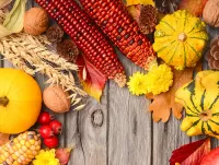 Пазл Кукуруза с тыквами