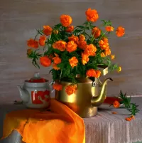 Пазл Купальница