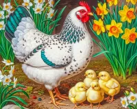 Пазл Курица с цыплятами