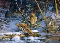 Пазл Куропатки