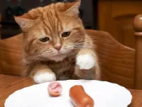 Пазл Кушать подано