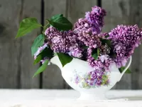 Пазл Кувшин сирени