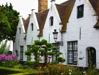 Пазл Квартет