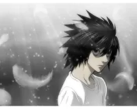 Пазл Эл Лоулайт