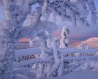 Пазл Lapland