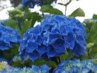 Пазл Лазурь лета