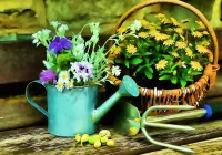 Пазл Лейка и корзинка