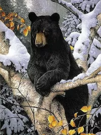 Пазл Ленивый парень