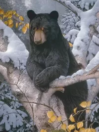 Пазл Ленивый парень