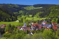 Пазл Ленцкирхе