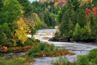 Пазл Лесная река