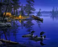 Пазл Лесное озеро