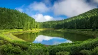 Пазл Лесное озеро