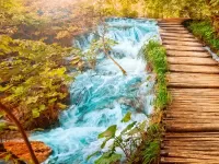 Пазл Лесной мостик