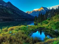 Пазл Лесной пейзаж
