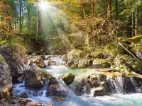 Пазл Лесной ручей