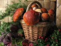 Пазл Лесной улов