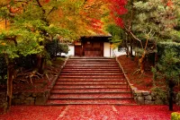 Пазл Лестница к дому 