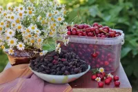 Пазл Летнее настроение