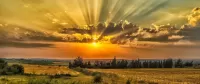 Пазл Летние лучи