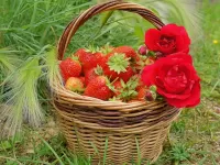 Пазл Летний натюрморт