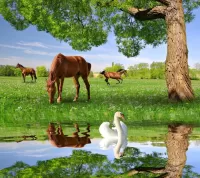Пазл Летний пейзаж