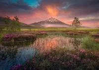 Пазл Летний пейзаж 