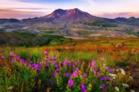 Пазл Летний пейзаж 