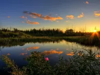 Пазл Летний рассвет