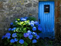 Пазл Лето в Бретани