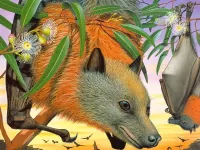 Пазл Летучие мыши