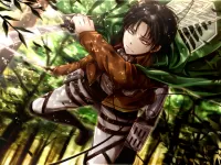 Пазл Леви Аккерман