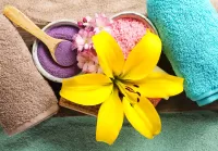 Пазл Лилия спа