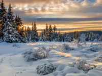 Пазл Lillehammer