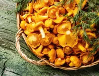 Пазл Лисички