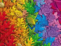 Пазл Листья