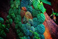 Пазл Листья