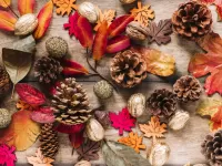 Пазл Листья и шишки