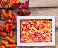 Пазл Листья в рамке