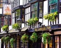 Пазл Llandoger Trow