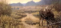 Пазл Лось