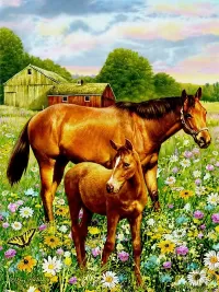 Пазл Лошади