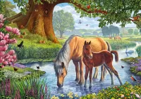 Пазл Лошади на реке 