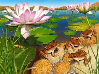 Пазл Лягушки и лотосы