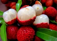 Пазл Lychee fruit