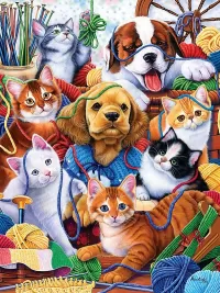 Пазл Любители трикотажа