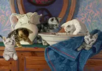 Пазл Любопытные котята 