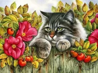 Пазл Любопытный кот