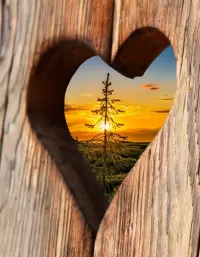 Пазл Любовь к природе